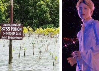 ARMYs donate mangrove BTS Jimin birthday project