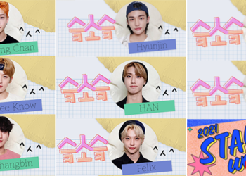 Stray Kids Profile SKZ by SKZ STAYweeK STAY 3rd Anniversary English Translation