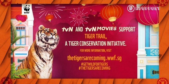 tvN tvN Movies Lunar new Year WWF Singapore Tiger Trail