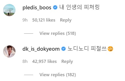 SEVENTEEN seungkwan dokyeom comment on seventeen dino instagram post