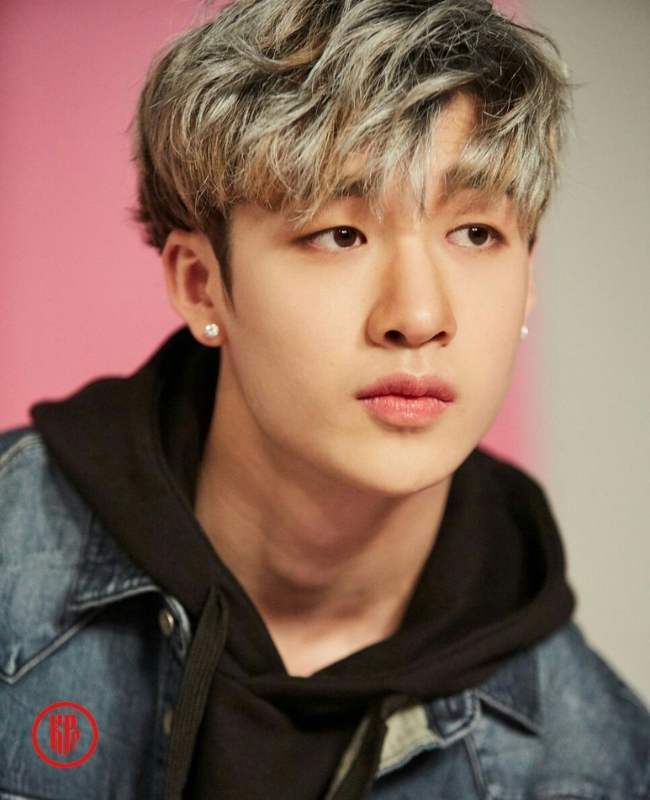 top non-Korean Male Kpop idols Stray Kids Bang Chan