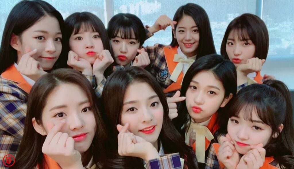 5 fromis_9 members injured with bruises and muscle pain due to the car accident. | Twitter