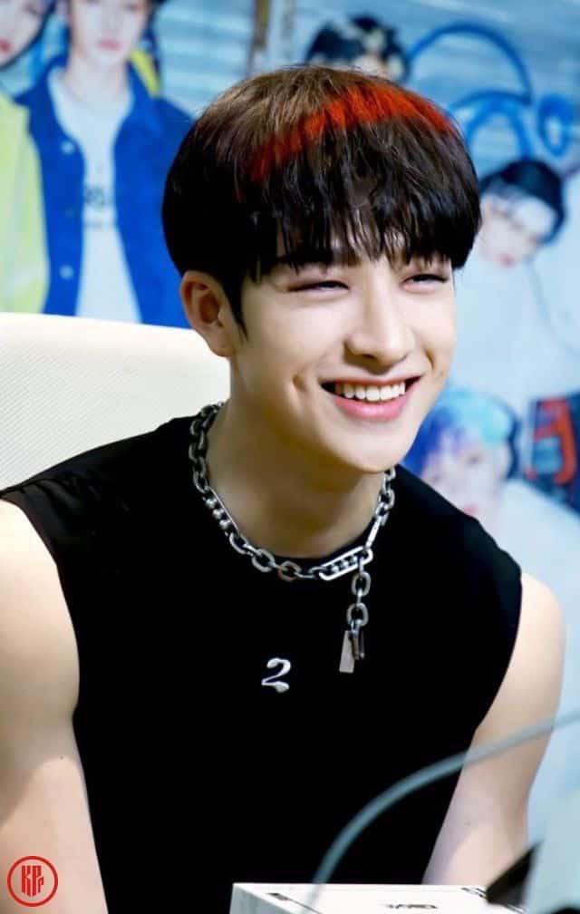 MALE KPOP IDOLS WITH DIMPLES - STRAY KIDS BANG CHAN