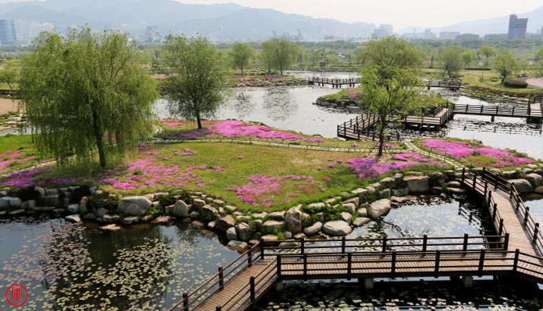 Samnak Ecological Park. | Visit Korea