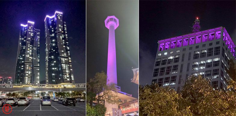 Busan turns purple! | KoreaHerald