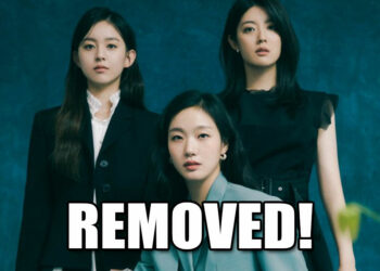 Netflix Vietnam REMOVED “Little Women” Kdrama Starring Kim Go Eun – What Happened?