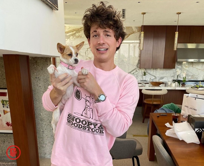 Charlie Puth in one of his live streams