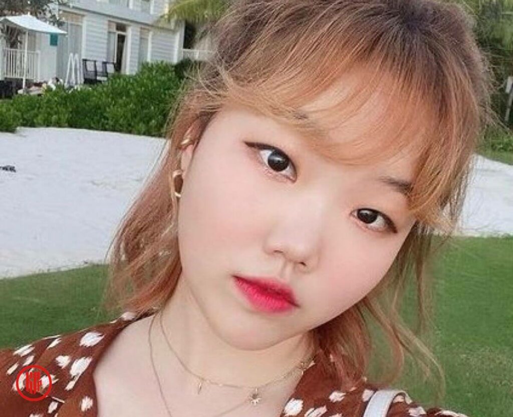 AKMU lee soo hyun