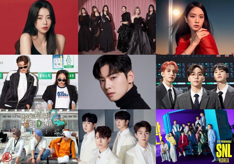 Top Korean brands who emerged as the “2023 Brand of The Year Awards” winners in the entertainment category. | Pinterest and Instagram