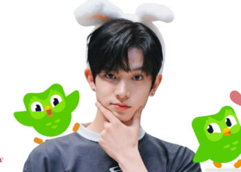 Duolingo Duo the Owl Falls for ENHYPEN Heeseung