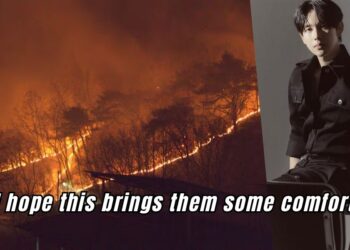 Sancheong wildfires South Korea fire Korean stars support