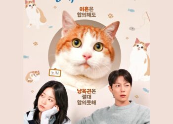 All About the Tug-of-Paws in “The Catstody War” Korean Drama: Who Wins When Hearts and Paws Collide?